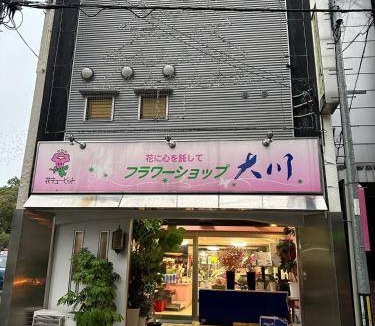 Ryuga Onsen Bed & Breakfast | 22 m² Bed and breakfast ∙ 1 guest