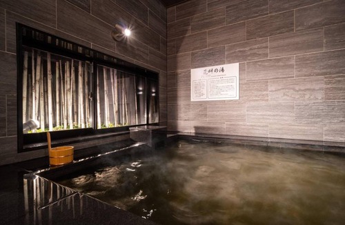 Sapporo Hotel | 24 m² Hotel ∙ 6 guests