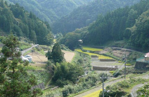 Yusuhara-cho Bed & Breakfast | 25 m² Bed and breakfast ∙ 6 guests