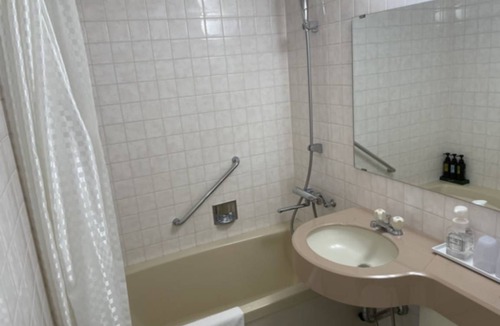 Higashihiroshima Hotel | 25 m² Hotel ∙ 1 bedroom ∙ 2 guests