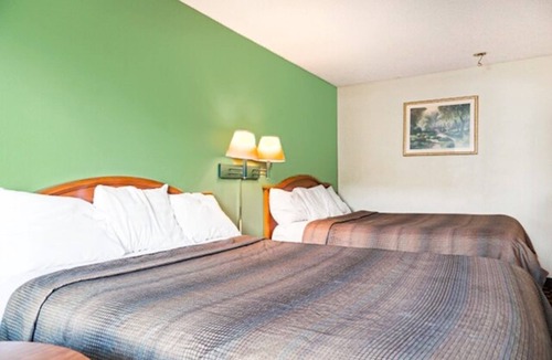 Ashburn Hotel | 4 Accommodations of Pet-Friendly Rooms | Perfect for Family | Free Parking