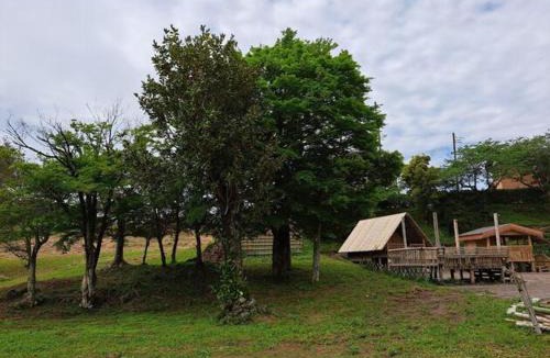Isumi Other | Bamboo Camp Site "Isumi Genji Firefly Village" - Vacation STAY 08175v