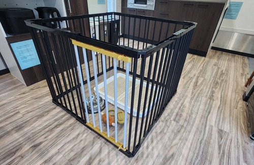 Hedamura House | BBQ Dog Garden Move Toda Trailer Large dogs a/Numazu City Shizuoka