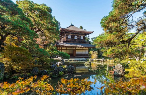 Sakyo Ward Bed & Breakfast | Bed and breakfast ∙ 2 guests