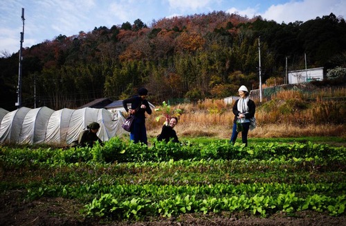 Akitakata House | Cherie Farmstay - Rural Hiroshima, Family Friendly