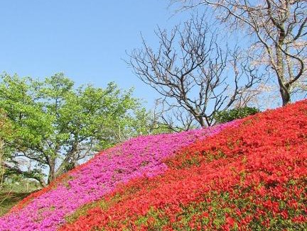 Ajiro Hotel | Chikurinan Mizuno
