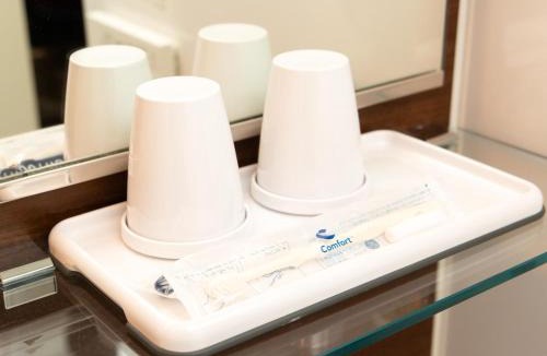 Higashiomi Hotel | Comfort Inn Yokaichi
