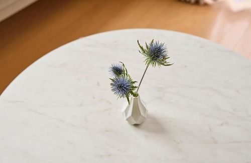 Kita Ward Apartment | domo plus 日光の森