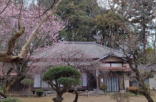 Yotsukaido House | Glamp House Hana no Mori monopolizing the forest - Rental of a whole building /Yotsukaido Chiba