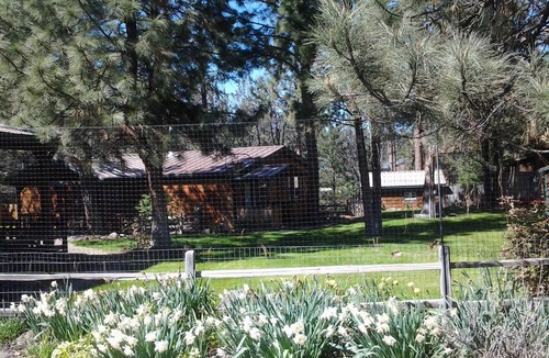 Pine Hollow Cabin | Hot tub, Wi Fi, Pets OK on the canal nice view of reservoir year round-