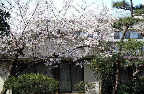 Shimizu Ward Hotel | Hotel Hagoromo