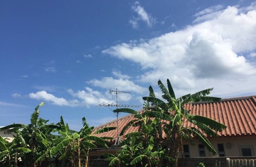 Iriomote-jima Taketomi-cho House | House ∙ 1 bedroom ∙ 2 guests
