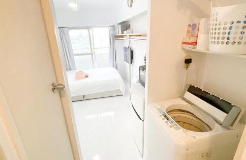 Kameari Apartment | Kameari 1105 Newly Renovated High Floor City View 2min to Mall 5min to Station Disney Access