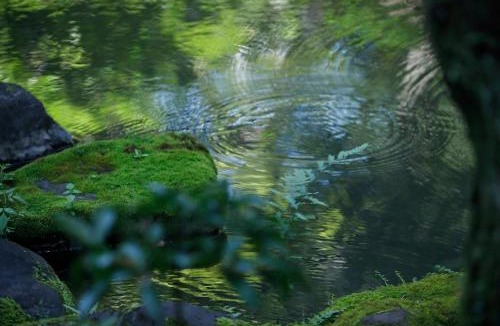 Central Kyoto Villa | KANETSUNE-Temple Lodging In Cultural Property