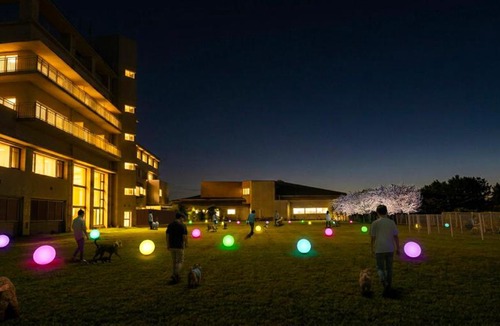 Kunisaki Hotel | Kunisaki Forest and Sea Dog Resort