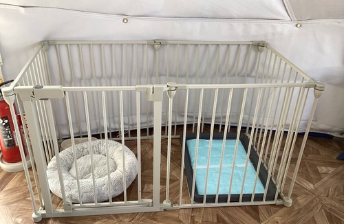 Maizuru RV Rental | Luxury Tent B Pets allowed Simple Stay Plan/Maizuru City Kyōto