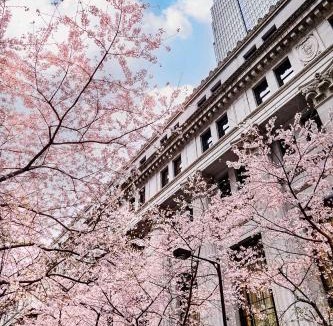 Nihonbashimuromachi Hotel | Mandarin Oriental, Tokyo