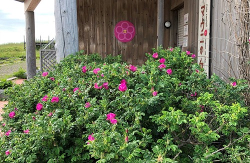 Sapporo House | Mauni Gardens Nature overlooking Ishikari Bay