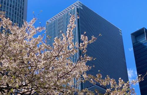 Meieki Hotel | Nagoya JR Gate Tower Hotel