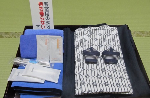 Nanbu Hotel | Nanbuchou Nouringyogyou Taikenjisshukan Churius