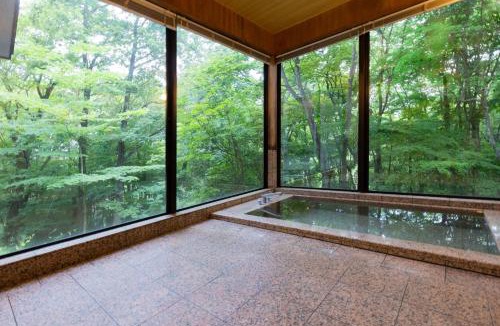 Nasu House | Nasu Fantasy House - Vacation STAY 13590