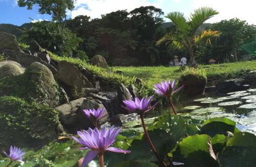 Ishigaki House | Nature Lodge Niji no Mame - Vacation STAY 45233v