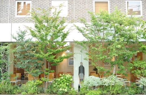 Ryuga Onsen Hotel | Nonsmoking single room with breakfast Delivered/Kochi Kōchi