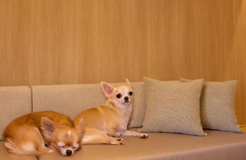 Gora House | Rakuten STAY VILLA Hakone Gora - Vacation STAY 35803v