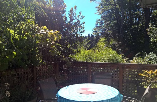 Portland Heights House | Sunny 1400 SQFT Dutch Colonial in Portland Heights - 5 min to downtown, NW 23rd