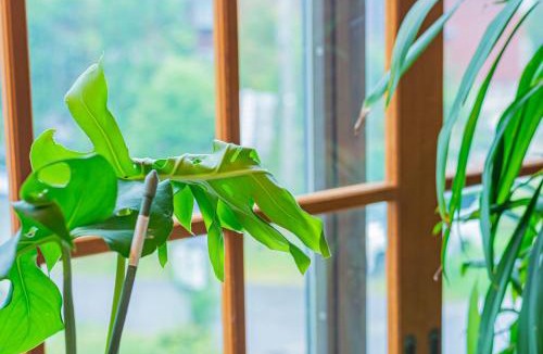 Iida House | The Snowfront Apartment Nabe Sun -HAKUBA GORYU-