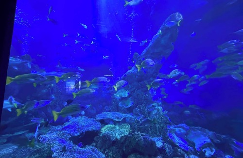 Toba Apartment | Toba Port Town Stay Nakanogo Sta 2 min Aquarium nearby | Private 2DK sleeps 3 - 203/Toba Mie
