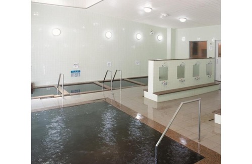 Tohoku Hotel | Tohoku Onsen - Vacation STAY 08516v