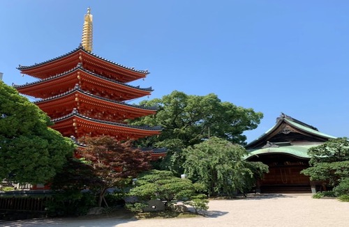 Hakata-ku Hotel | Trip Pod Chiyo A