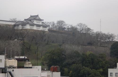 Kagamino-cho Hotel | Tsuyama Central Hotel Annex