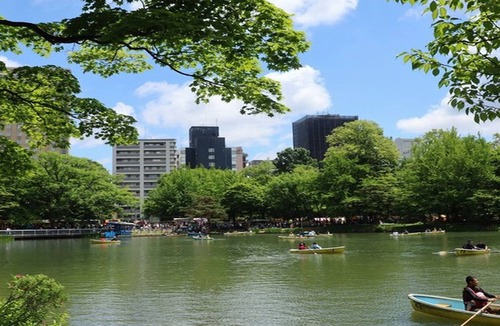 Chuo-ku Apartment | UCHI Living stay NAKAJIMA park