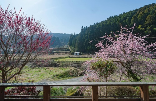 Ukiha House | Ukiha Kojio no Akari