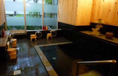 Yudanaka Shibu Onsen Hotel | Yudanaka Tawaraya Ryokan