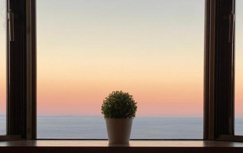 シャイニングブルーIZU AWA Resort