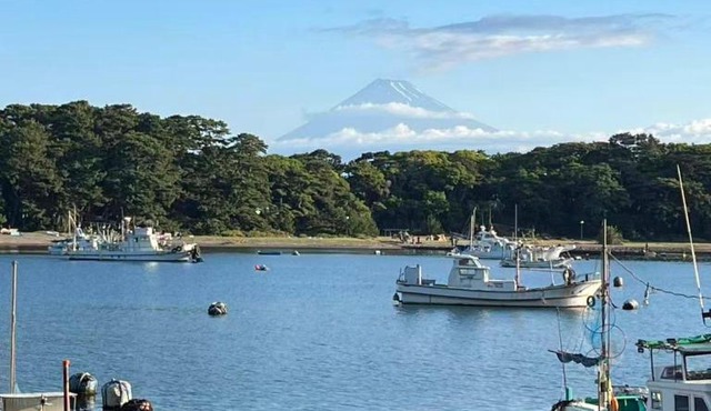 深川の宿