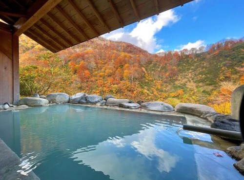 秘湯花文