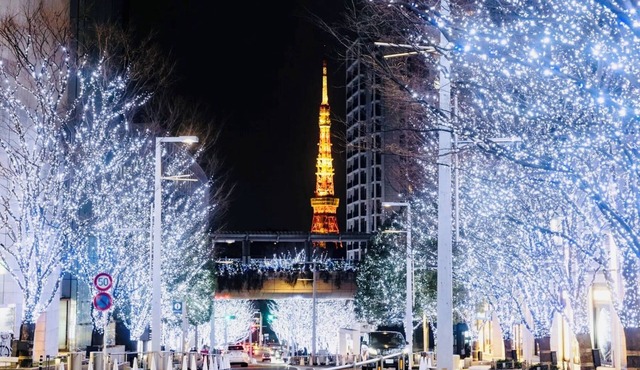 [Alo BnB 11] - Near ROPPONGI, GINZA, SHINJUKU, SHIBUYA - Self check-in