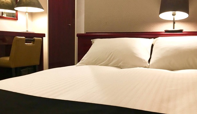 APA Hotel Tsubamesanjo Ekimae