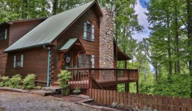 Breezy Bear, Ellijay, Ga in Ellijay