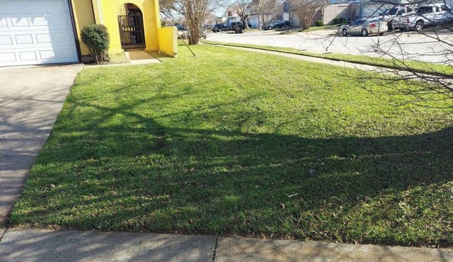 Cozy & Quant: Spacious 4-bedroom townhome in delightful Fort Worth. in Fort Worth