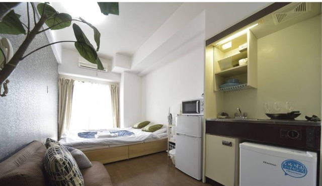 EX Shirokitakōen Apartment 507