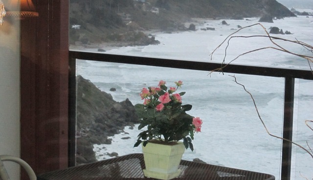 JAW-DROPPING VIEW,trails,family-friendly,fireplace,private beach,gated & clean in Brookings