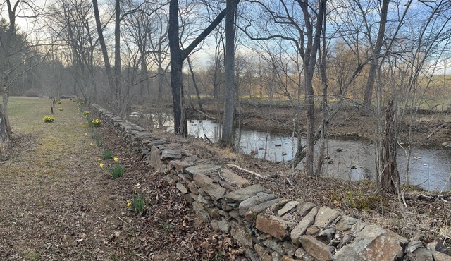 Large, immaculate guest house on 75 stunning acres w/7 acre lake. Pet friendly. in Washington