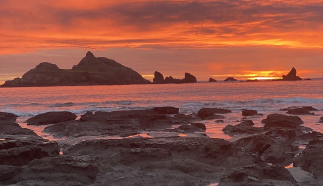 Oceanfront Retreat. Sunset Views. Whale Watching. Redwood Groves, 2 King Beds in Crescent City