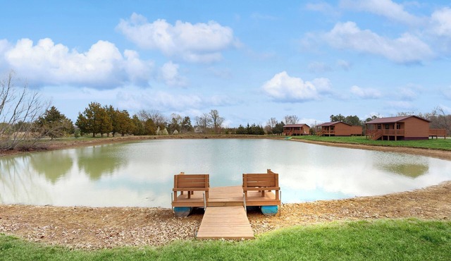 Pet Friendly! Couples Retreat in Southern Illinois in Murphysboro