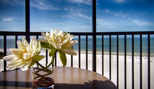 Pointe Estero Beach Resort in Fort Myers Beach